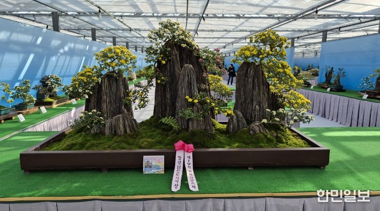 2026년 거제국화분재연구회 신규회원 모집