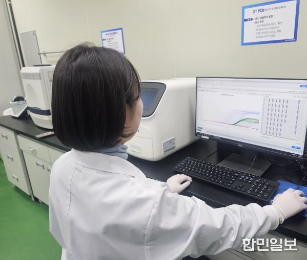 노로바이러스 검사