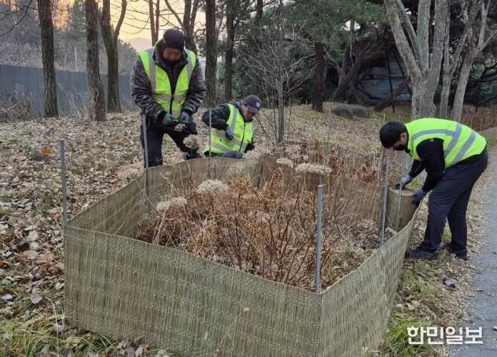 가로수와 녹지대 집중 정비