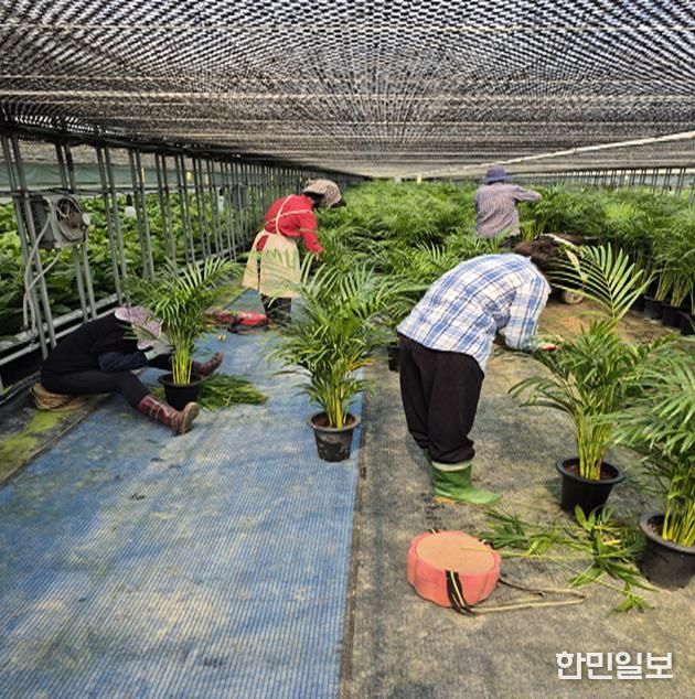 음성군, 농부의 시계보다 앞선 행정....농촌인력 지원 박차