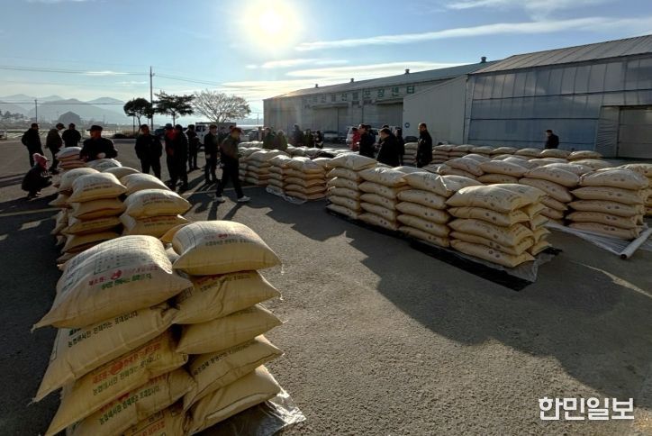 , 2027년 공공비축미곡‘미소진품’, ‘아람’선정