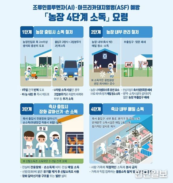 조류인플루엔자(AI)·아프리카돼지열병(ASF) 예방 농장 4단계 소독 요령' 안내문