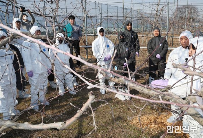 관내 사과·배 재배 농가를 대상으로 겨울철 궤양 제거 작업과 예방 중심 방제 지도를 강화하며 선제적 대응에 나서고 있다