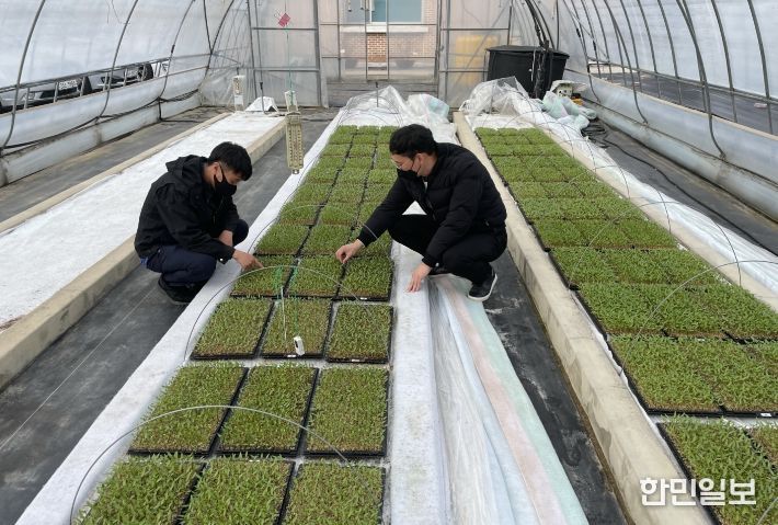 임실군, 2026년 고품격 고추 육모 지원사업 추진