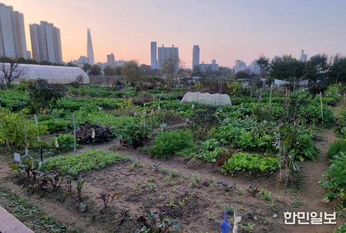 송파구 친환경 주말농장