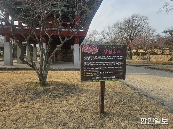 낙안읍성으로 초대, 붉은 꽃길이 열립니다