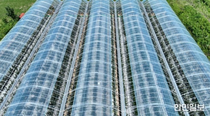 기후변화 대응 스마트사과재배로 사과 재배