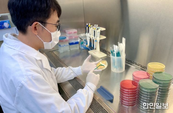 설 다소비식품 안전성 검사