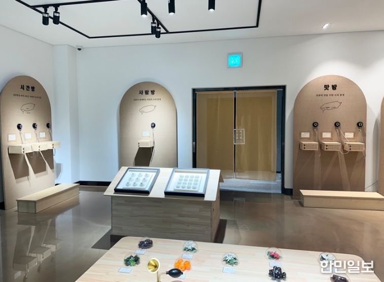 감귤 감각 저장소