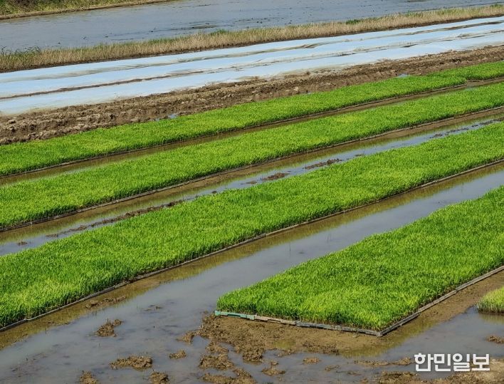 병해충 사전 차단 나선 익산시