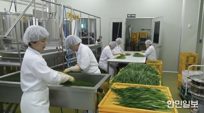 양평군, ‘찾아가는 현장 맞춤형 농식품 가공 컨설팅’ 참여업체 모집