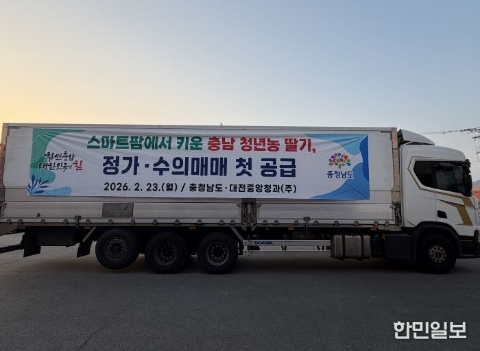 청년농 재배 딸기 1톤 정가·수의 매매 방식 시범 공급