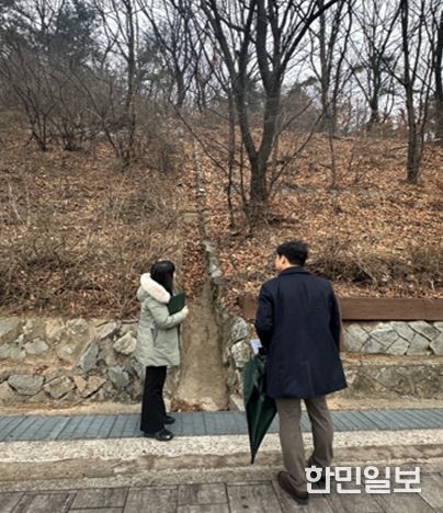 전문가(산림기술사) 합동점검