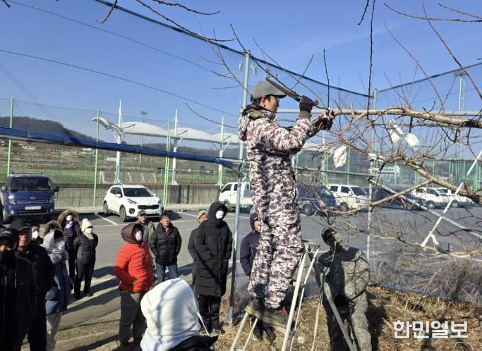 충주시농기센터, 복숭아 정지전정 현장교육 성료