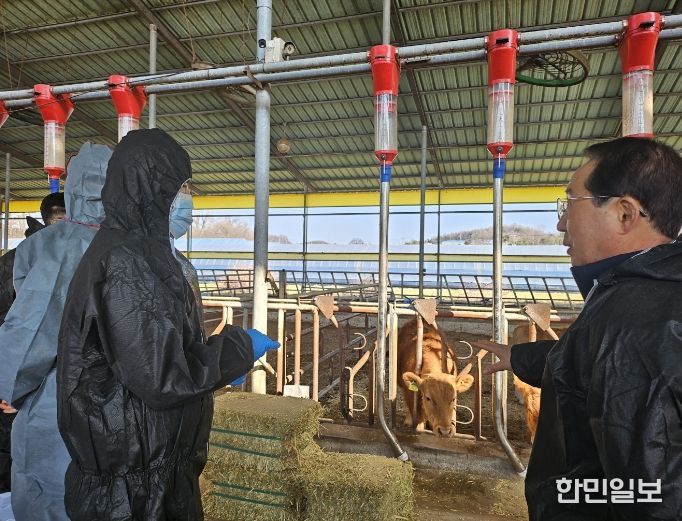 상반기 구제역백신 일제접종 독려