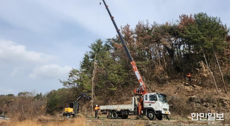 재선충 방제 작업