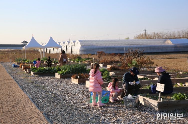 2026년도 도시농업 체험농장 도란도란 회원모집