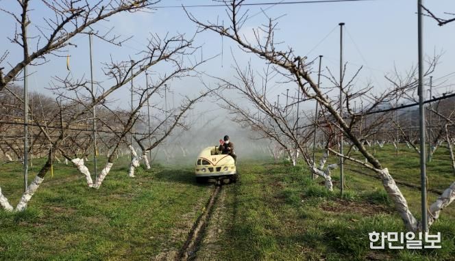 월동 병해충 방제 사진