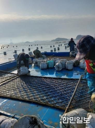 수산산업과김양식계절근로자모집