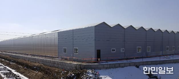 조성 현장 전경