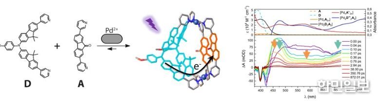 광유도 전하 분리 초분자 나노구조 규명