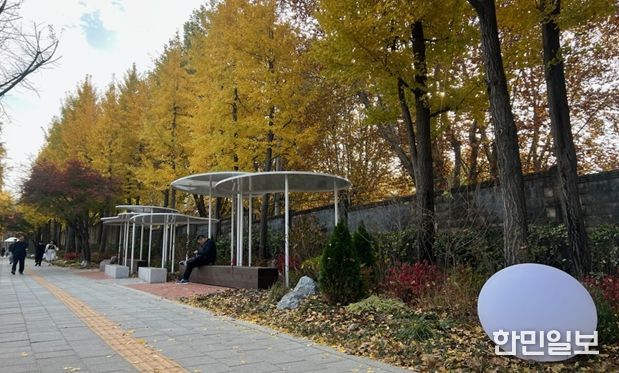 생활 가로변 녹지정비 사업(녹사평~해방촌 입구)