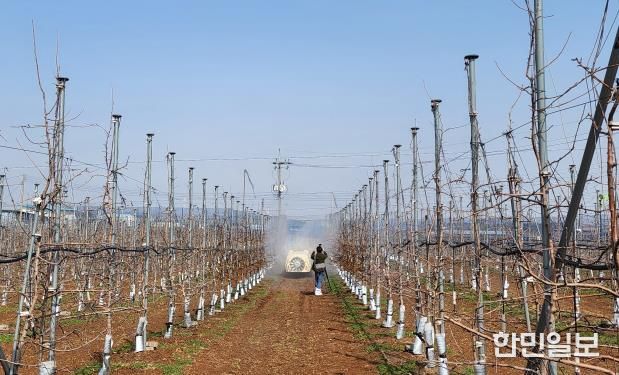 약제 방제하는 모습