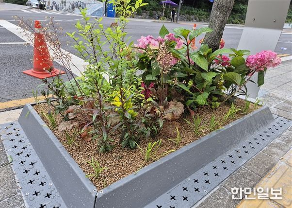 가로수정원 조성사례