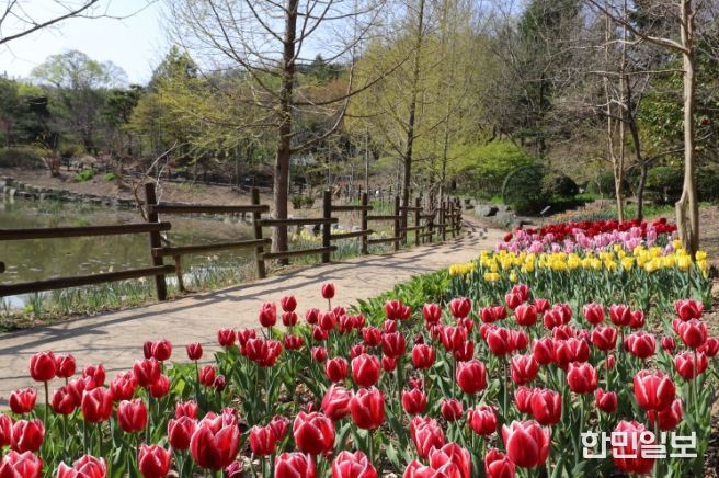 경남수목원(봄)