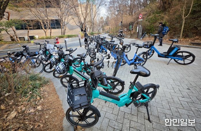 보도 위 통행방해 전기자전거 현황