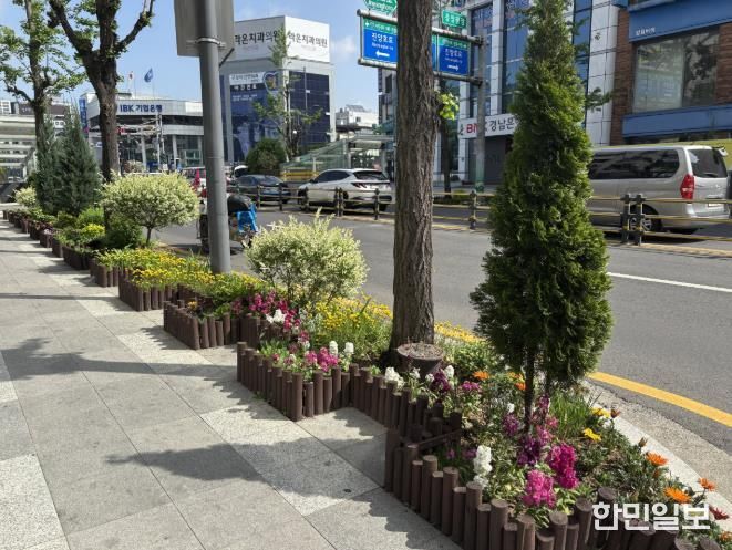 진주시, 봄꽃 향기 가득한 원도심... 활력의 거리로 피어나다