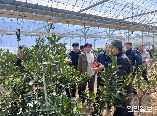 만감류 재배 현장 컨설팅