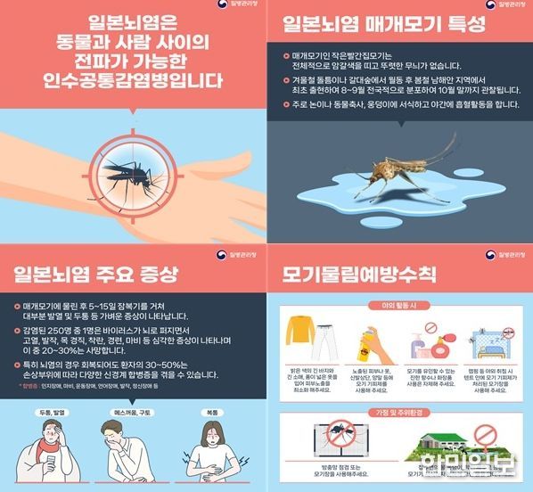 홍성군, 일본뇌염 주의보 발령…