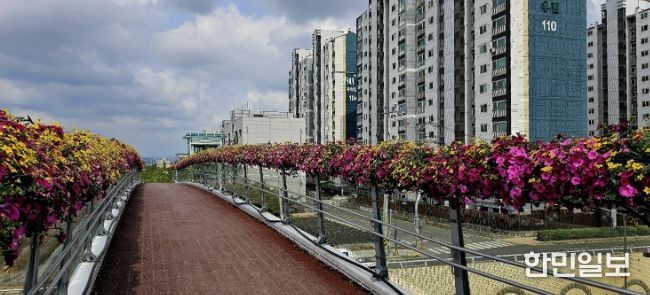 2025년도 수인선 상부육교 꽃길 조성 전경