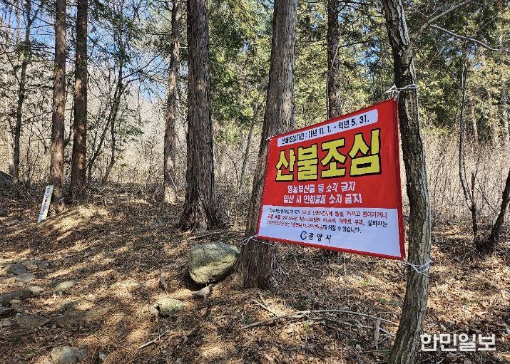 광양시, 산불 예방 위한 현장 중심 기동단속 강화