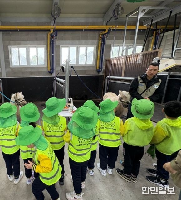 어린이 말체험 사진