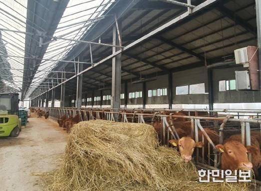 관내 한우농가 내부전경