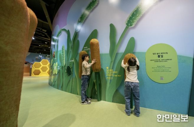 경기북부어린이박물관, 개관 10주년 맞아 상설전시 《자연숲, 작아져야 보이는 세계》 새롭게 선보여