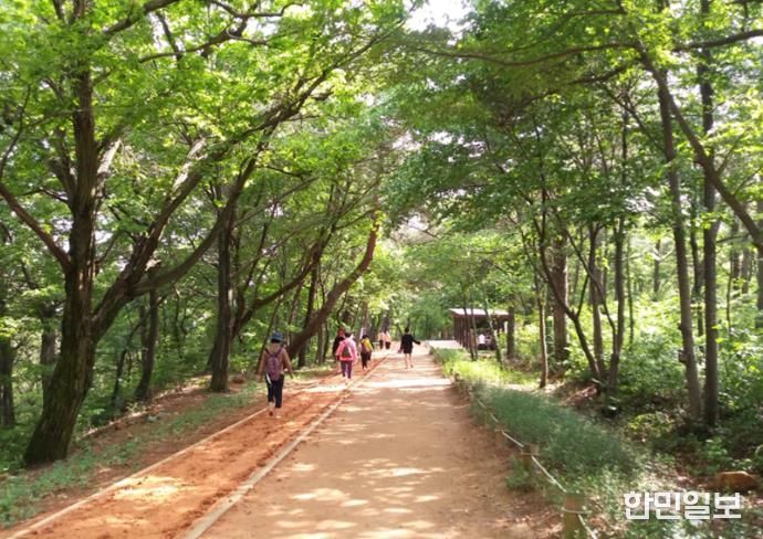 김해시 분성산 생태숲 황톳길 개장