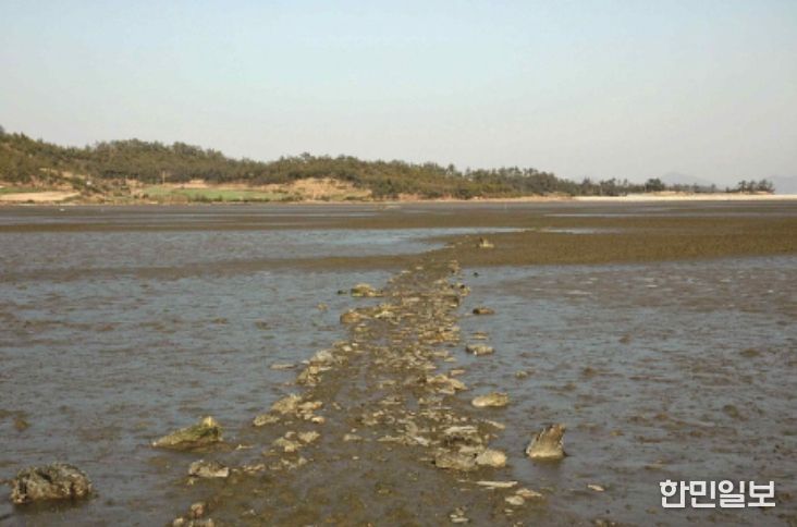 신안군 팔금도 거사리의 노둣길