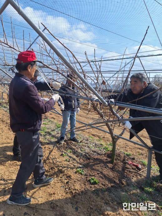 맞춤형 영농지원 본격화