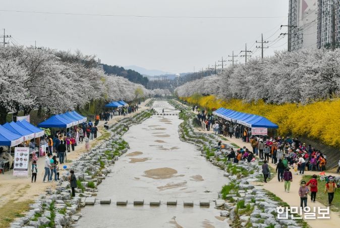 벚꽃과 함께하는 시민 어울림 한마당’
