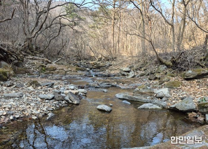 남양주시, 천마산 시립공원 내 불법행위 근절 특별정비 추진