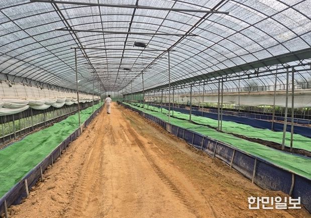 지렁이 사육농가