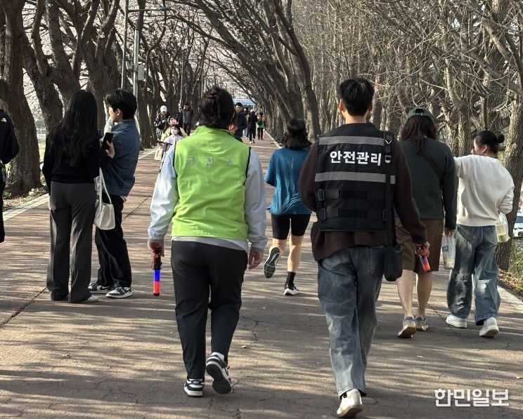 안양천 벚꽃시즌 시민 안전 최우선…금천구, 총력 대응