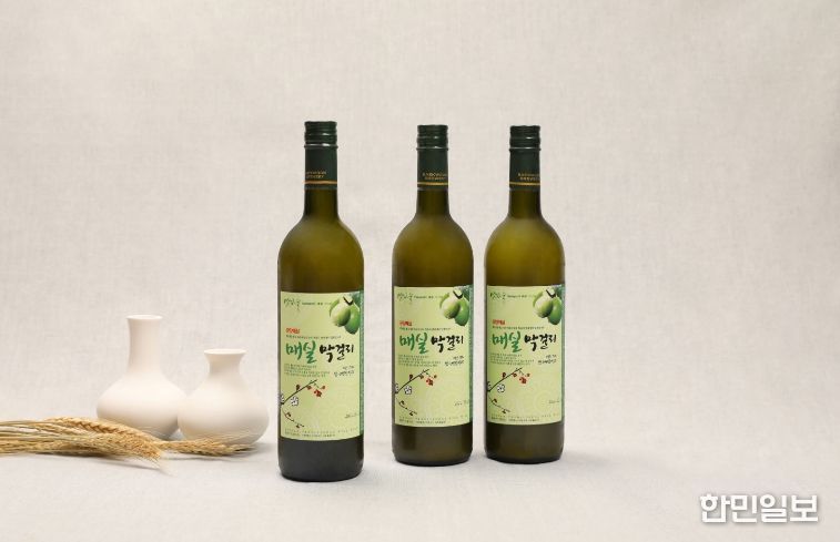 전통주-광양매실막걸리