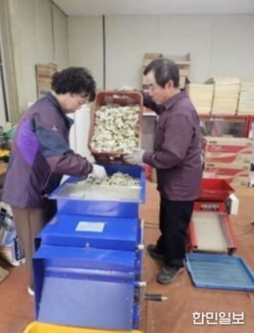 꽃가루 채취 사진