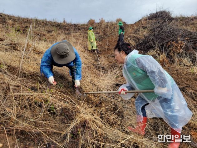 증평군새마을회, 식목일 나무심기
