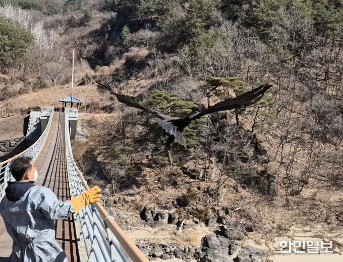 치료·재활 거쳐 자연 복귀