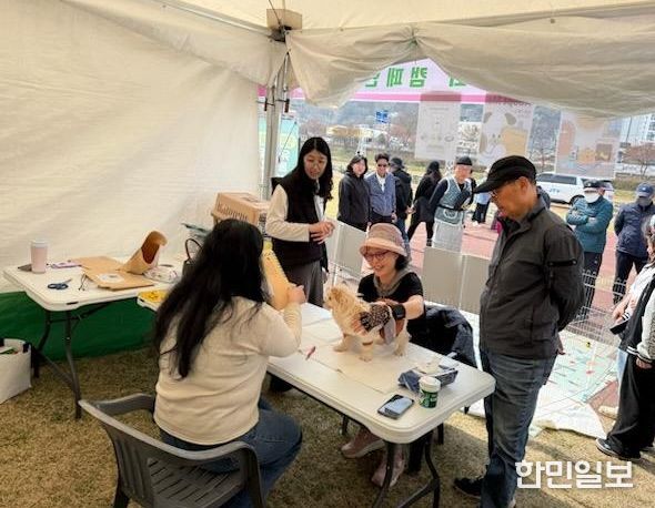 정읍시, 벚꽃축제서 유기동물 입양 홍보 운동
